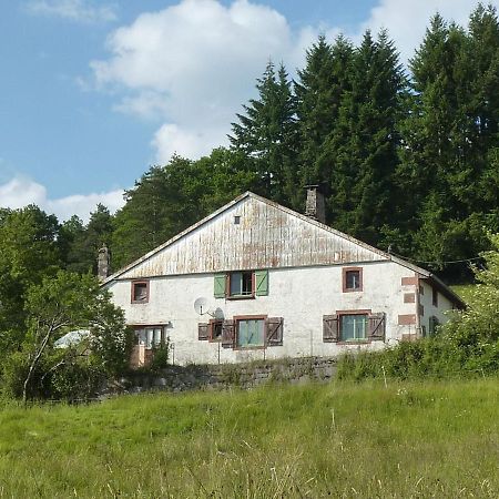 Charming Holiday Home Near The Ski Slopes Vagney Exteriér fotografie